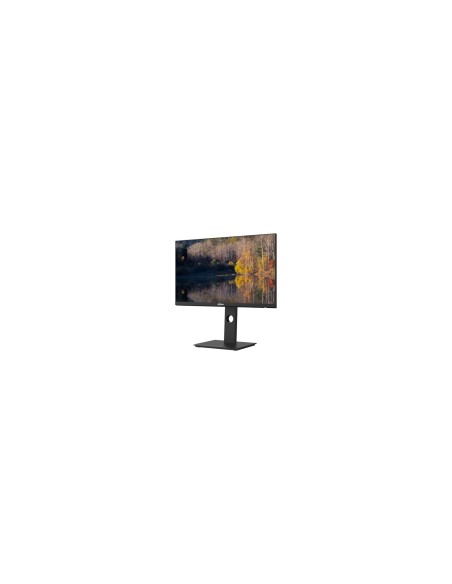Dahua Technology LM24-P301A LED display 60,5 cm (23.8") 2560 x 1440 Pixeles Quad HD Negro