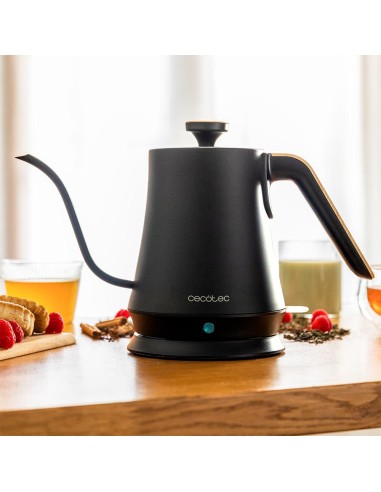 Thermosense 500 Cisne