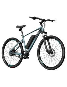 Bicicleta eléctrica MTB Removable