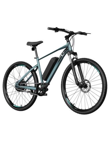Bicicleta eléctrica MTB Removable