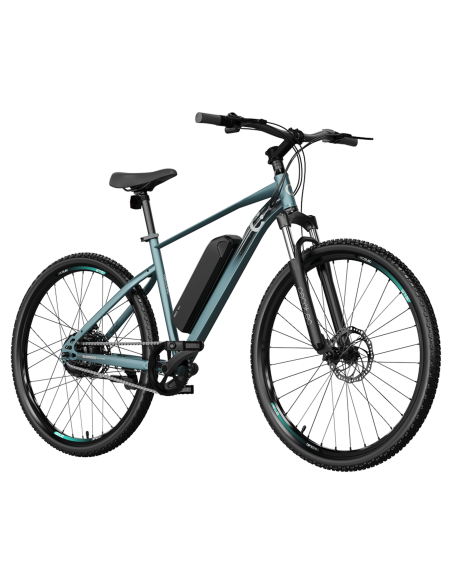 Bicicleta eléctrica MTB Removable