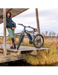 Bicicleta eléctrica MTB Removable 2