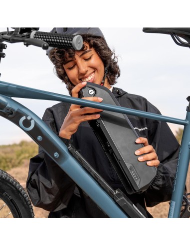 Bicicleta eléctrica MTB Removable