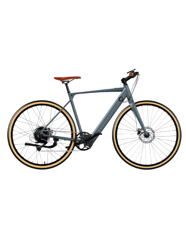 Bicicleta eléctrica Sprint Silver