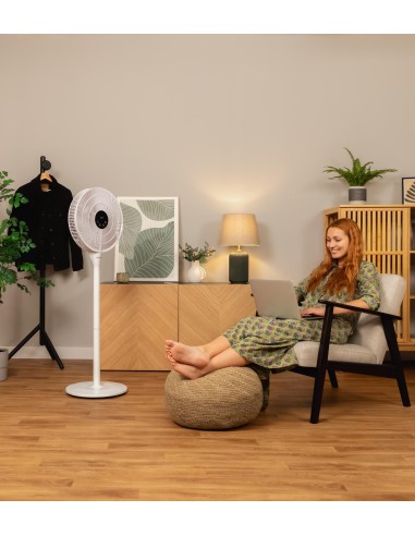 Energysilence 1000 Smart Control