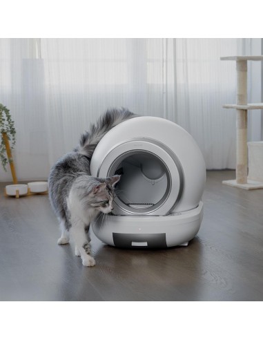 Pumba 7000 CleanKitty Compact Connected