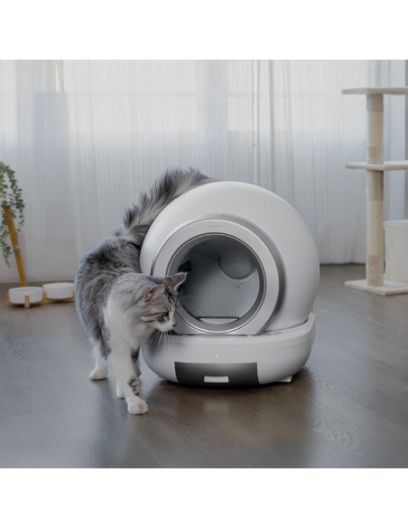 Pumba 7000 CleanKitty Compact Connected