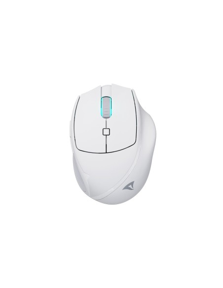 Sharkoon OfficePal M25W ratón Juego mano derecha RF Wireless + USB Type-C Óptico 4000 DPI