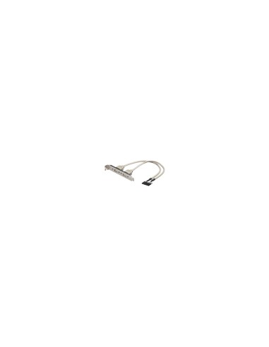 ADAPTADOR 2 X 5 PIN A USB H EWENT EW-100303-002-G-P