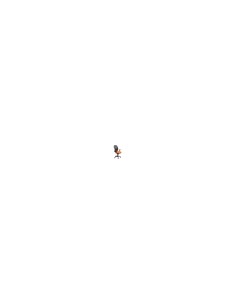 SILLA JORQUERA MALLA NEGRA ASIENTO BALI NARANJA 15SNBALI305