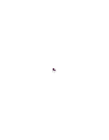 SILLA FIJA VILLALGORDO CHASIS NEGRO BRAZOS BALI MORADO 27NBALI760CB