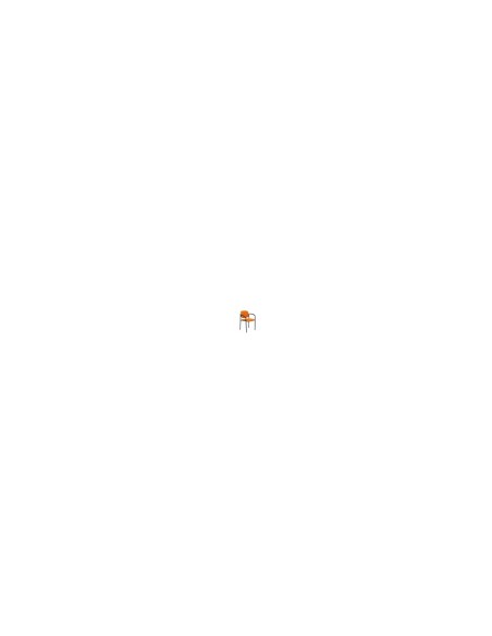 SILLA FIJA VILLALGORDO CHASIS BRAZOS NEGRO SIMILPIEL NARANJA 27NSPNACB
