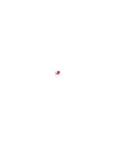 SILLA FIJA VILLALGORDO CHASIS BRAZOS CROMO BALI ROJO 27CRBALI350CB 2
