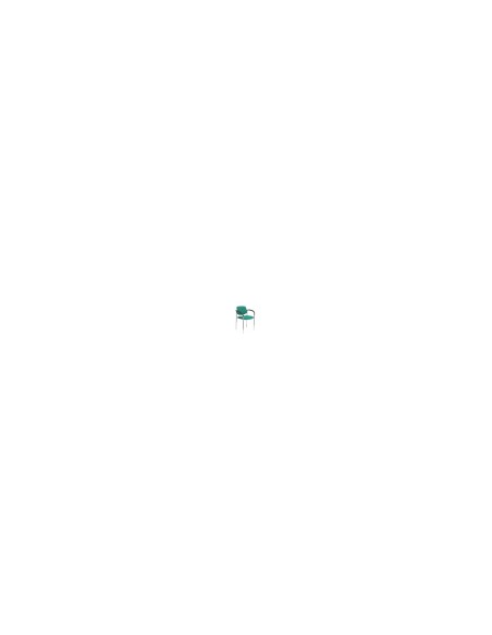 SILLA FIJA VILLALGORDO CHASIS BRAZOS CROMO BALI VERDE 27CRBALI456CB