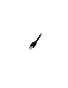 StarTech.com Cable Mini DisplayPort 1.2 Macho a Macho- 4k de Monitor - 2M Negro 2