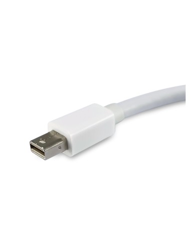 Equip cable gender changer Mini DisplayPort, DisplayPort Blanco