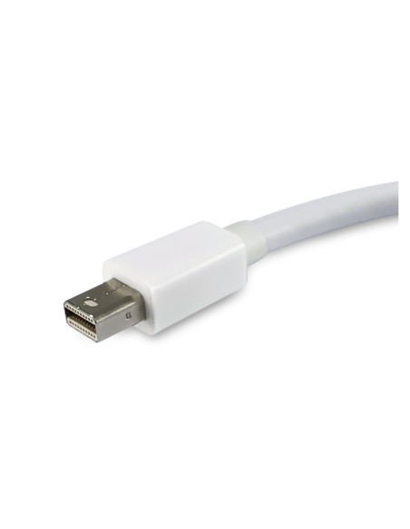 Equip cable gender changer Mini DisplayPort, DisplayPort Blanco