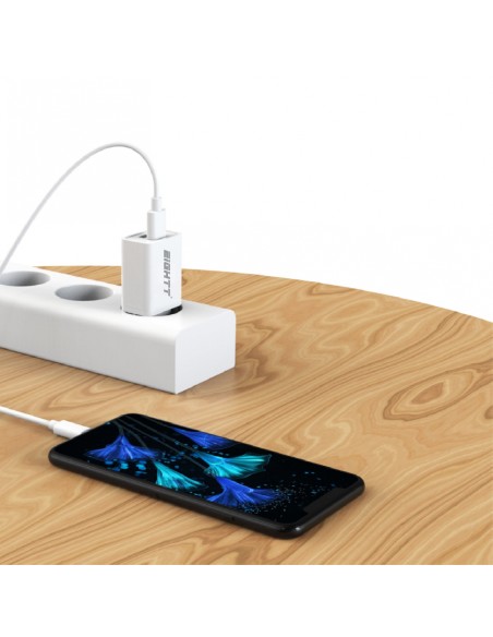 Eightt Cargador Smartphone / Tablet 5V 2.4A con cable Lightning