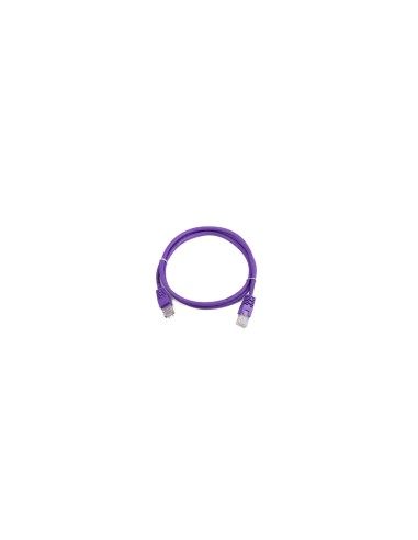 Gembird RJ45/RJ45 Cat5e 0.5m cable de red Púrpura 0,5 m U/UTP (UTP)