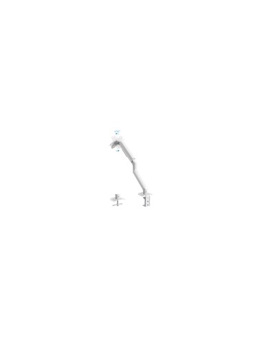 TooQ DB4032TNR-W soporte para monitor 81,3 cm (32") Abrazadera/Atornillado Blanco