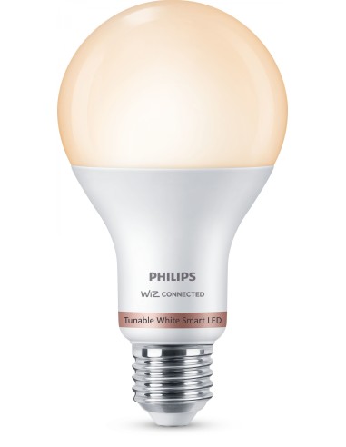 Philips Bombilla 13 W (Equiv. 100 W) A67 E27