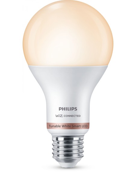 Philips Bombilla 13 W (Equiv. 100 W) A67 E27