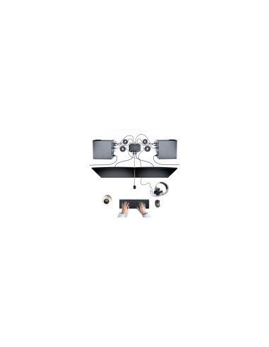 StarTech.com C2-DH46-UA2-CBL-KVM interruptor KVM Negro