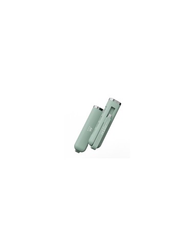 Ewent EW1148 base para portátil y replicador de puertos Alámbrico USB 3.2 Gen 1 (3.1 Gen 1) Type-C Verde