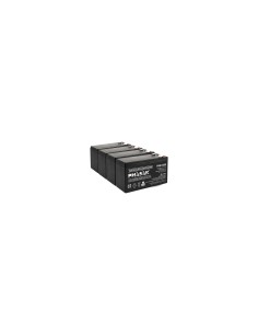 Phasak PHB 1209 baterÍ­a para sistema ups Sealed Lead Acid (VRLA) 12 V 9 Ah 2