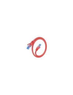 AISENS Cable De Red Latiguillo RJ45 Cat.6 UTP AWG26 CCA, Rojo, 30 cm 2