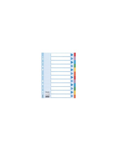 Esselte Multi-coloured Cardboard Dividers divisor 10 pieza(s)