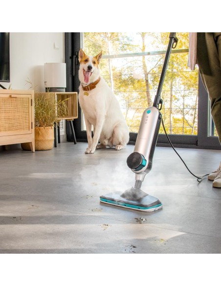 Vaporeta vertical HydroSteam 3030 Active