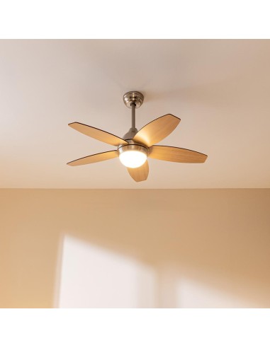 Ventilador de techo EnergySilence Aero 495