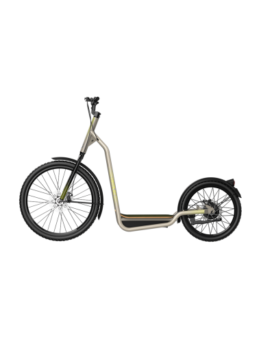Bicinete Urban