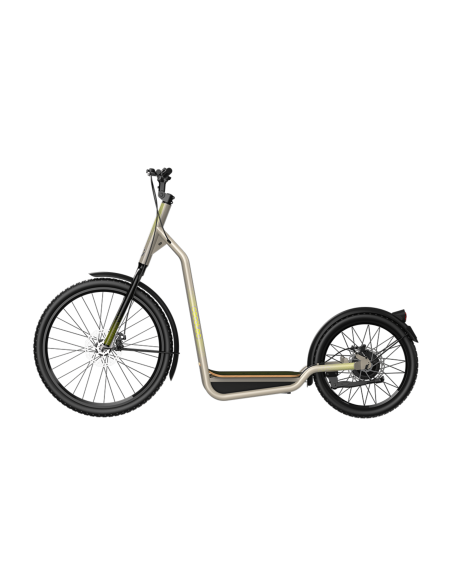 Bicinete Urban