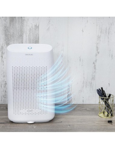 Deshumidificador BigDry 2500 Essential 360