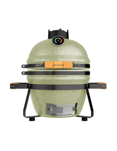 Barbacoa DragonFire 3200 2