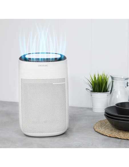 Deshumidificador BigDry 2500 Pure Light