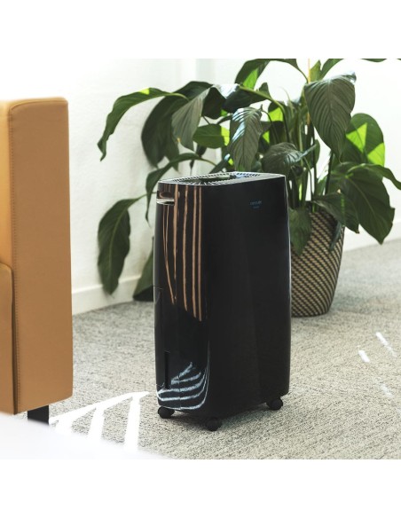 Deshumidificador bigdry 4000 expert black