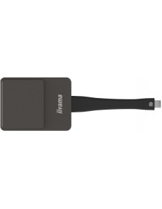 iiyama WP D002C adaptador Smart TV USB 4K Ultra HD Negro, Plata