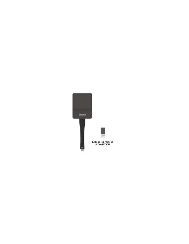 iiyama WP D002C adaptador Smart TV USB 4K Ultra HD Negro, Plata