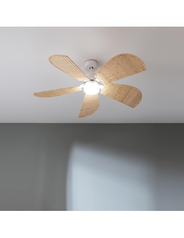 EnergySilence Aero 5290 Natural