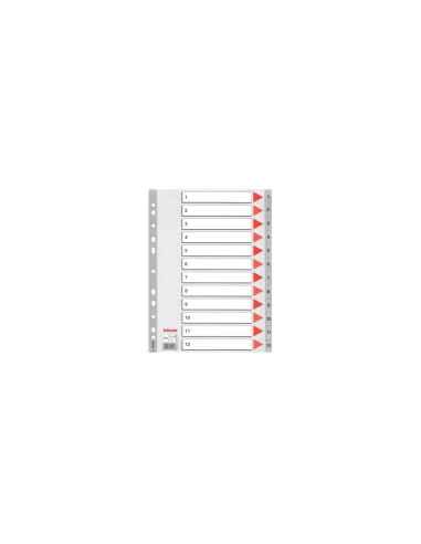 Esselte Plastic indexes