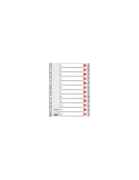 Esselte Plastic indexes