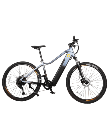 Bicicleta eléctrica Avanti