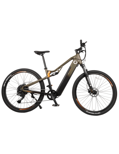 Bicicleta eléctrica Supreme