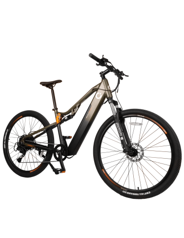 Bicicleta eléctrica Supreme