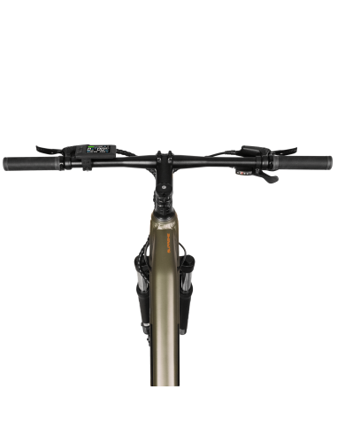 Bicicleta eléctrica Supreme