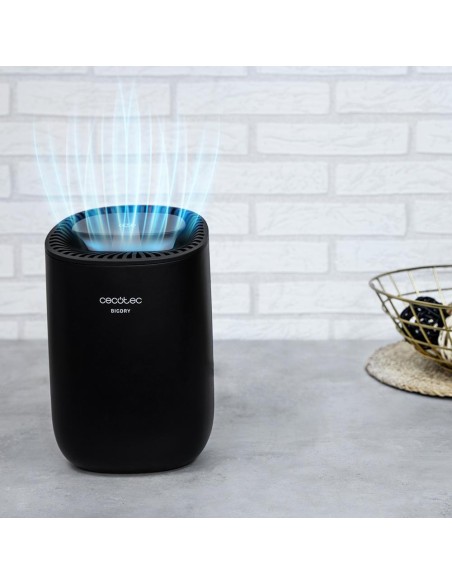 Deshumidificador BigDry 2000 Light Black