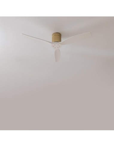 EnergySilence Aero 5500 Aqua GoldWhiteWood Connected